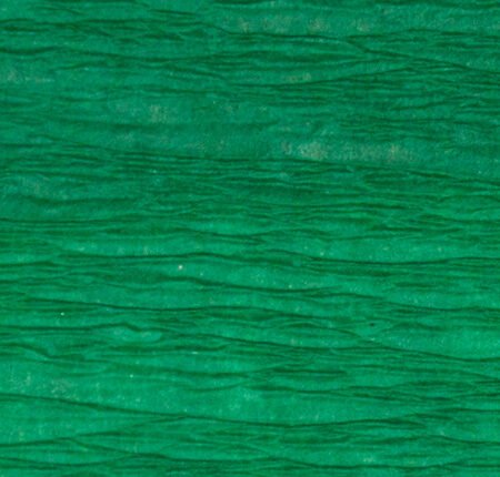 Green Crepe Paper Roll - 0.5x2.5m (10 rolls)