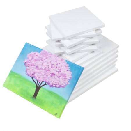 Large Stretched Canvas - 24x30cm (10 frames per pack)