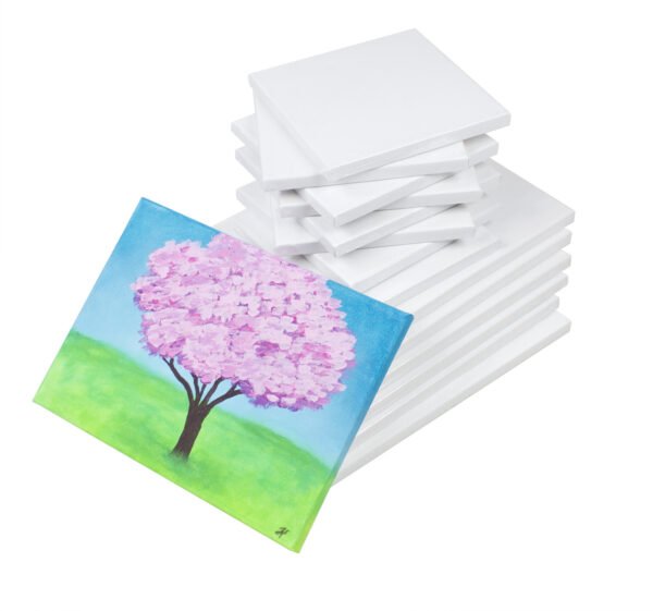 Small Box Canvas - 20x20cm (10 frames per pack)