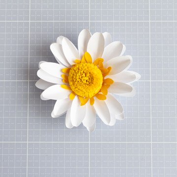 Paper Daisy