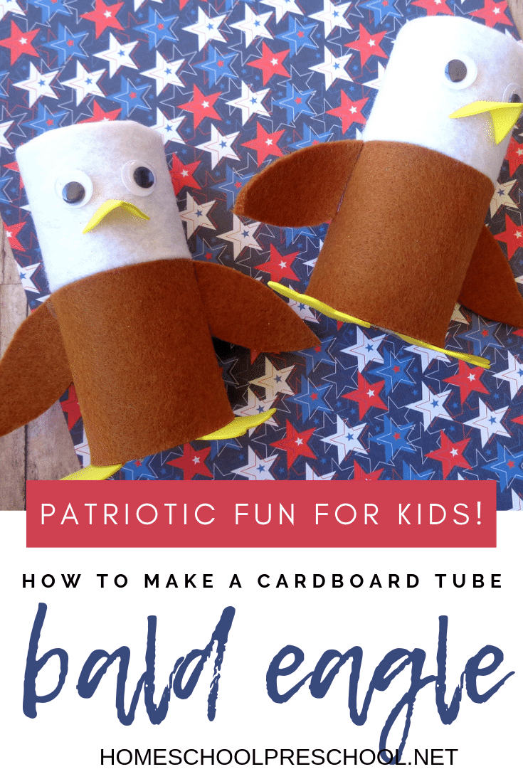 Bald Eagle Toilet Paper Roll Craft