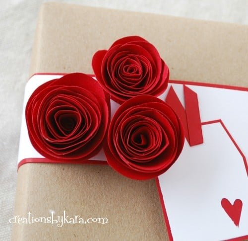 Rolled Paper Roses